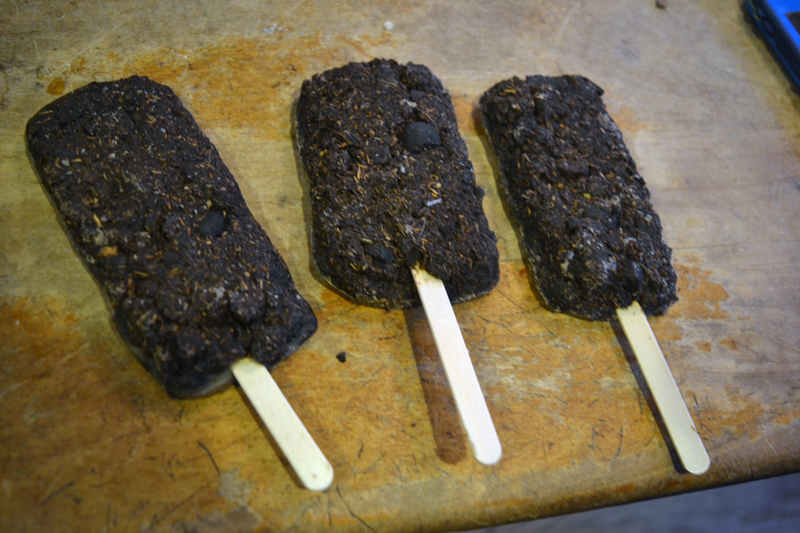 Tirdy Works' Poopsicles. (Christine LaPado-Breglia photo)