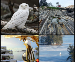 The four weekly winners of the January #LCNme365 photo contest. Voting for the monthly winner opened at noon, Wednesday, Jan. 23 and will close at 5 p.m., Monday, Jan. 28.