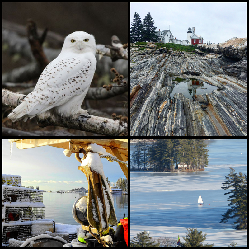 The four weekly winners of the January #LCNme365 photo contest. Voting for the monthly winner opened at noon, Wednesday, Jan. 23 and will close at 5 p.m., Monday, Jan. 28.
