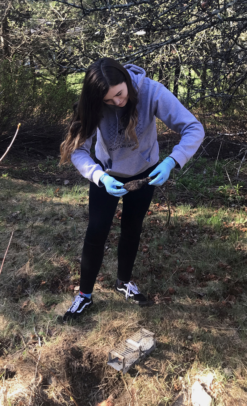 Wiscasset Middle High School student Madeline McLean inspects a rotting chicken leg as part of a forensic science class in spring 2018. Students use entomological clues, such as the presence and size of insects on the meat, to learn about how investigators determine time of death. (Photo courtesy Prema Long)