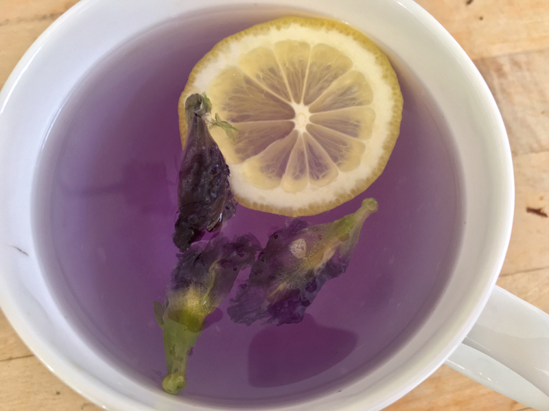 Beautiful, healthful butterfly pea flower tea turns purple when you add a slice of lemon or lime. (Suzi Thayer photo)