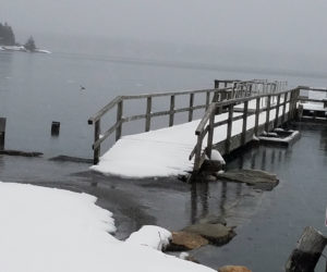 The town landing and two crazy loons during the storm at high tide.