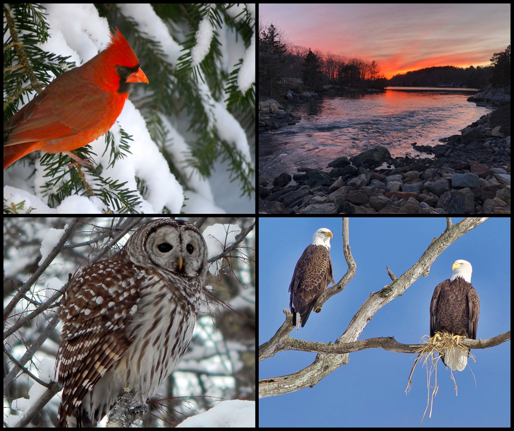 The four weekly winners of the February #LCNme365 photo contest. Voting for the monthly winner opened at noon, Wednesday, Feb. 20 and will close at 5 p.m., Monday, Feb. 25.