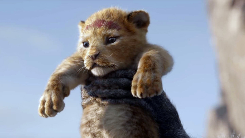 The adorable photorealistic computer-animated baby lion in "The Lion King," coming to Harbor Theater on July 19. (Movie still courtesy Harbor Theater)