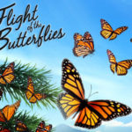 Land Trust to Host Monarch Butterfly Film Screening
