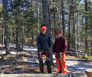 Volunteer Alan Bellows (left) and lands manager Michael Warren remove trees in preparation for expanding the parking area at Ovens Mouth West.