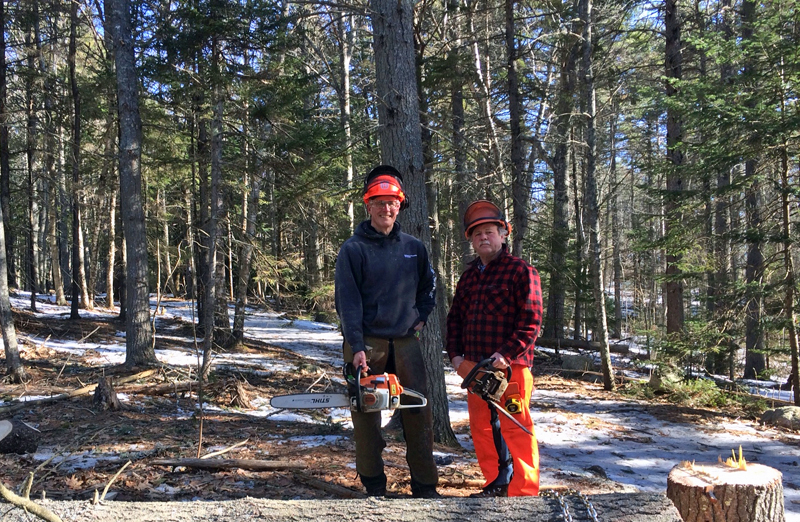 Volunteer Alan Bellows (left) and lands manager Michael Warren remove trees in preparation for expanding the parking area at Ovens Mouth West.