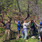 Celebrate Earth Day with Trail Work, Train Ride, Hike