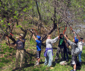 Doing trail work at Trout Brook.