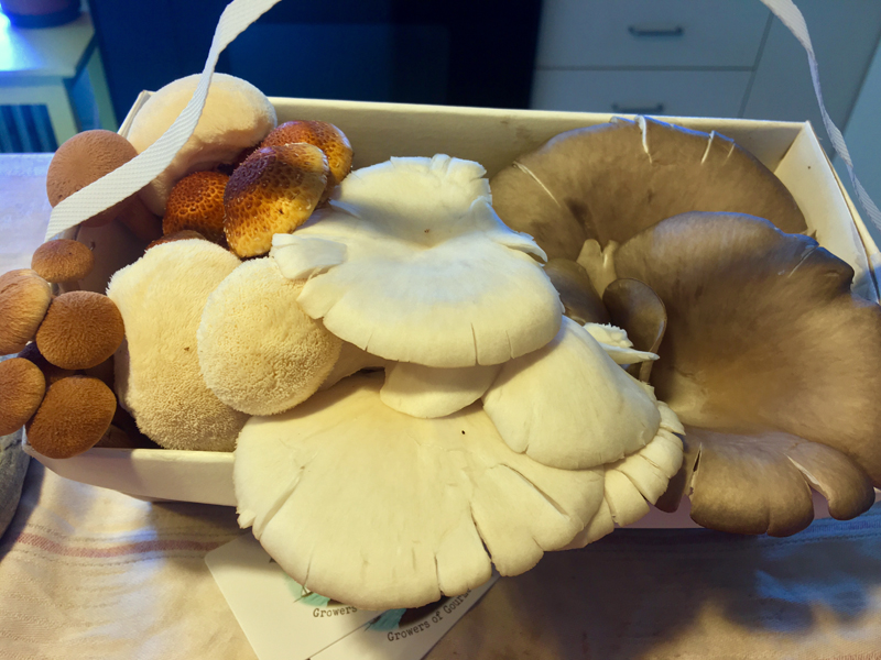 A basketful of mushrooms from Island Mushroom Co. (Suzi Thayer photo)