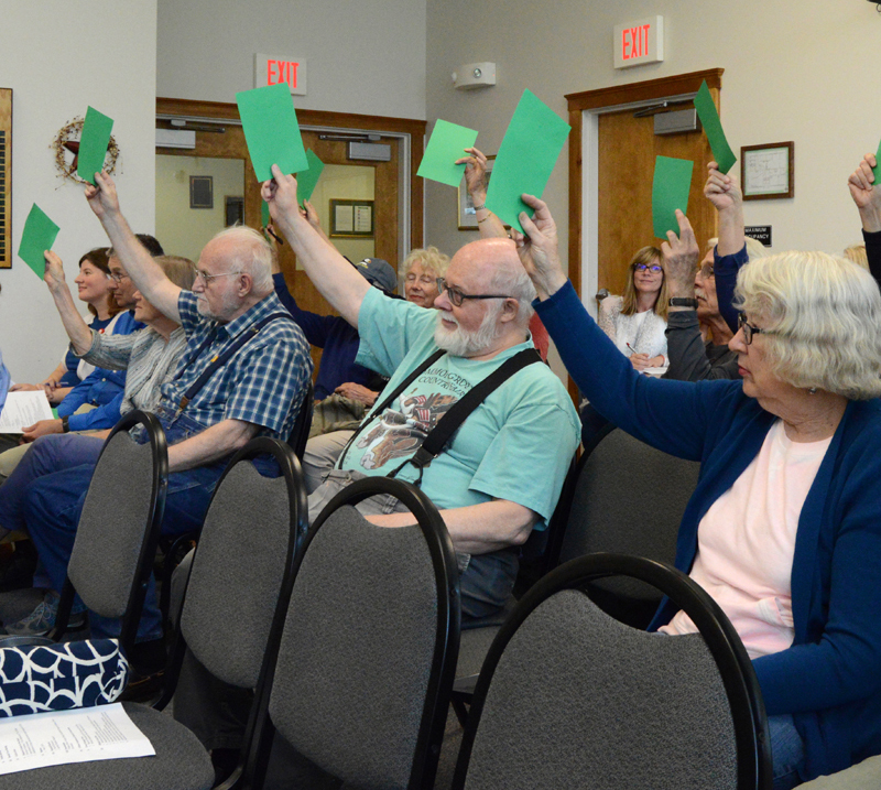 Damariscotta voters approve a lease of 5 acres of the town's former landfill site to Sundog Solar LLC during a special town meeting June 19. (Evan Houk photo)