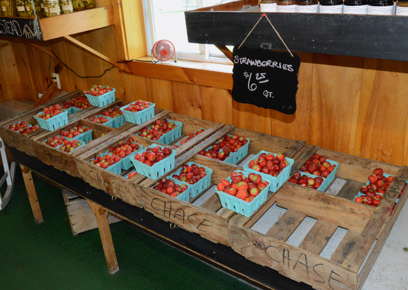 Fresh strawberries at the Clark Farms stand in Damariscotta. The farm did not offer a pick-your-own option this year, but owner Robert "Jigger" Clark said it will still have a full strawberry season. (Evan Houk photo)