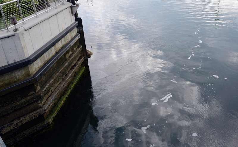 A sheen is visible in the water under the South Bristol bridge from a diesel fuel spill the evening of Tuesday, July 16. (Evan Houk photo)