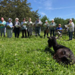 Hospice Choir Extends Volunteerism to Aging Farm Animals