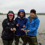 Marine Center Invites Harvesters to Take Part in Shellfish Project