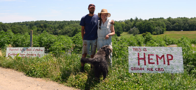 Ben Marcus and Taryn Hammer Marcus, with their dog, Olso, stand in front of their hemp fields at Sheepscot General Farm in Whitefield on July 18. The farm will offer a pick-your-own hemp option by appointment this fall. (Evan Houk photo)