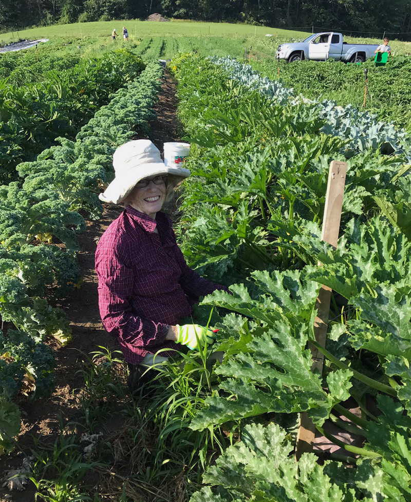 Twin Villages Foodbank Farm to Host Garden Party Aug. 29 The Lincoln