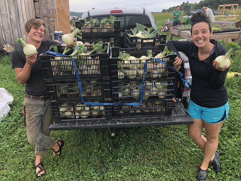 Twin Villages Foodbank Farm Assistant Farm Manager Kaitlyn Gardner and volunteer Jess ORourke with one days harvest of very large onions.