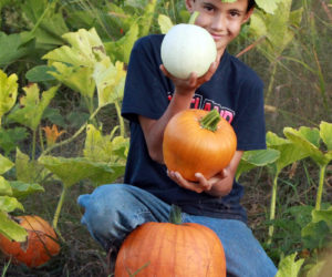 The farm's resident garden elf checks the pumpkin patch. (Photo courtesy Kelly Payson-Roopchand)