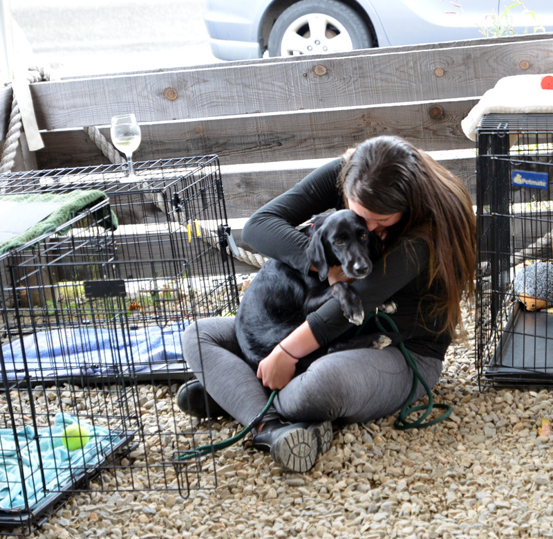 An attendee cuddles a dog during a fundraiser for Midcoast Humane at the Shuck Station in Newcastle on Saturday, Sept. 14.  (Photo courtesy Dennis Boyd/dennisboydphotography.com)