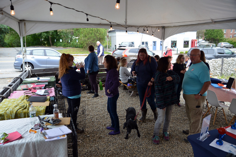 The Shuck Station, at 68 Main St. in Newcastle, hosts a fundraising event for Midcoast Humane on Saturday, Sept. 14. (Photo courtesy Dennis Boyd/dennisboydphotography.com)