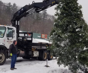 A large tree is made upright at Louis Doe Home Center in Newcastle last November. The Villages of Light Committee is searching for 20-foot trees for the annual event.