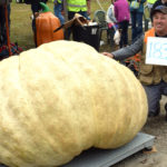 Jefferson Man’s 1,832.5-Pound Pumpkin Breaks State Record