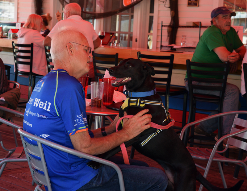 Dennis Morrison pets Baxter during the Action for Animals Maine launch party at Brady's restaurant in Boothbay Harbor on Sunday, Sept. 29. (Jessica Clifford photo)