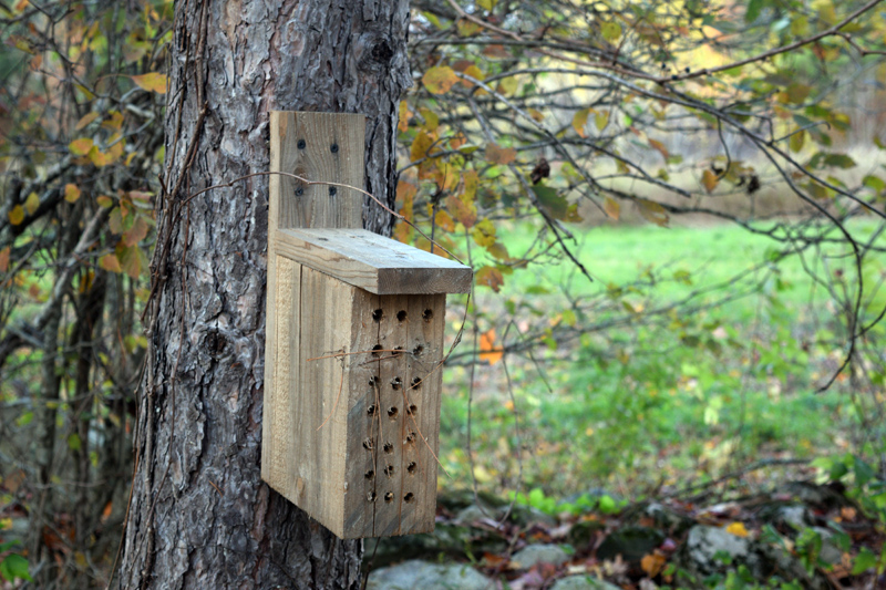 A nesting box at Bluefields Farm. (Jessica Clifford photo)