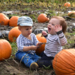 Wiscasset’s Scarecrowfest Makes Big Comeback with Week of Events