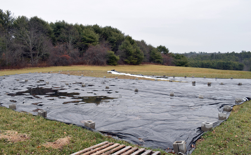 A new 1.5-acre patch of farmland recently purchased by Coastal River Conservation Trust for use by Twin Villages Foodbank Farm. Farm Manager Sara Cawthon said the land is covered with a tarp to prevent weeds from growing. (Evan Houk photo)