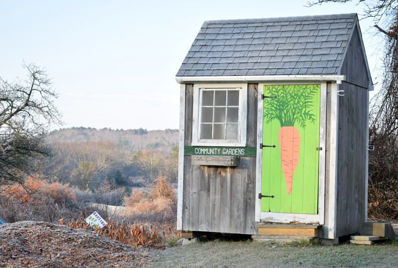 A storage shed at Twin Villages Foodbank Farm in Damariscotta. The farm harvested an estimated 50,000 pounds of produce this year for donation to food pantries and other nonprofits. (Evan Houk photo)