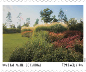 Coastal Maine Botanical Gardens will be one of the garden venues featured in the 2020 Forever stamp series from the U.S. Postal Service titled American Gardens. (Image courtesy David P. Coleman/U.S. Postal Service)