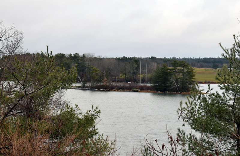 Central Maine Power Co. is exploring the possibility of building a floating road to this island in Great Salt Bay in Newcastle. CMP needs to replace the poles, according to Newcastle officials. (Evan Houk photo)