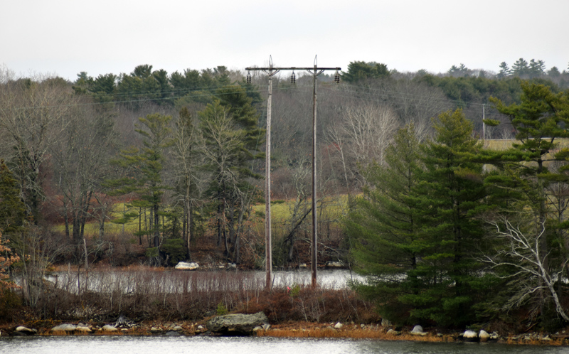 Central Maine Power Co. poles tower over the trees on an island in Great Salt Bay, Newcastle. CMP is exploring the possibility of building a floating road to the island to replace the poles. (Evan Houk photo)