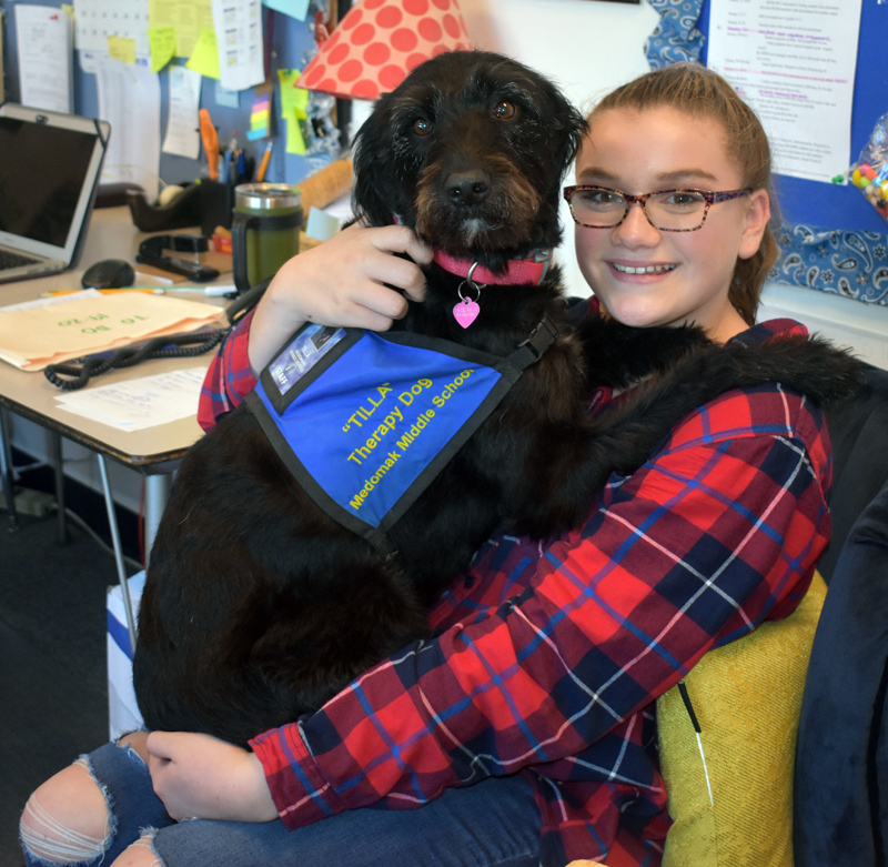 Medomak Middle School seventh grader Addy Ruggieri holds Tilla, the school's therapy dog. (Alexander Violo photo)