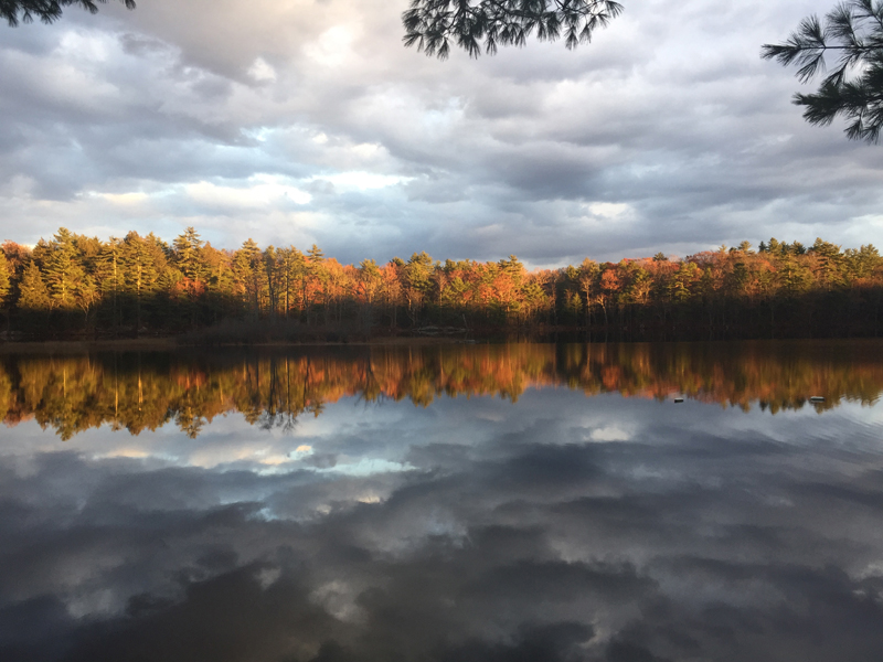 Heather Higgins's photo of a sunset near her home on Dyer Long Pond in Jefferson received the most votes to win the November #LCNme365 photo contest. Higgins will receive a $50 gift certificate to Renys courtesy of Damariscotta Bank & Trust, the sponsor of the November photo contest.