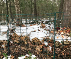 Snow-covered compost quietly breaks down on a winter day. (Photo courtesy Lee Emmons)