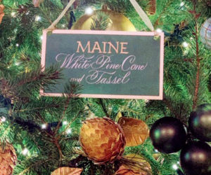 Maine's state flower is represented alongside the state flowers of the other 49 states on the official White House Christmas tree. (Photo courtesy Shirley McLaren)