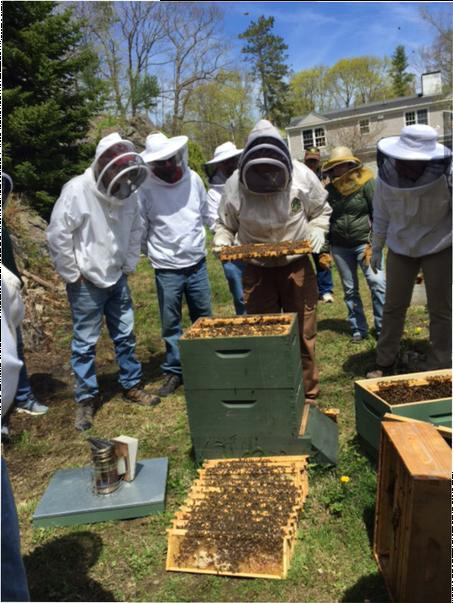 Beekeepers make a split at an Knox-Lincoln County Beekeepers open hive event.