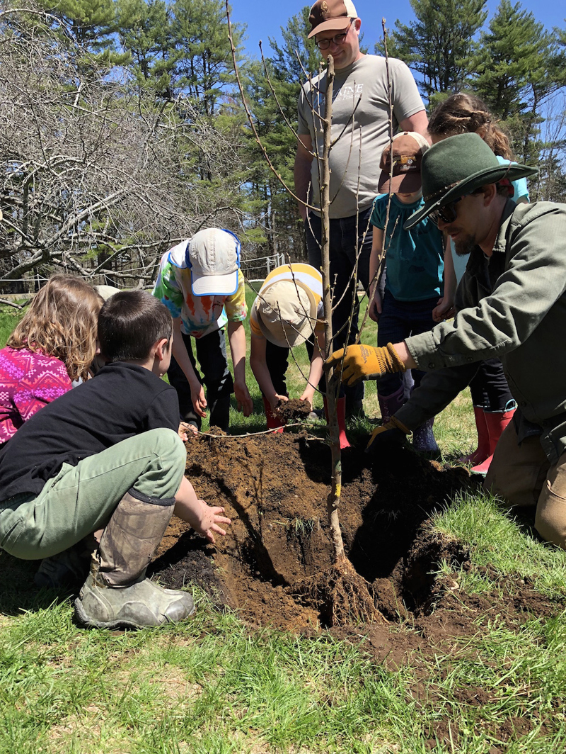 Juniper Hill School for Place-Based Education students plant a school orchard with ReTrees Maine. (Photo courtesy Juniper Hill School for Place-Based Education)