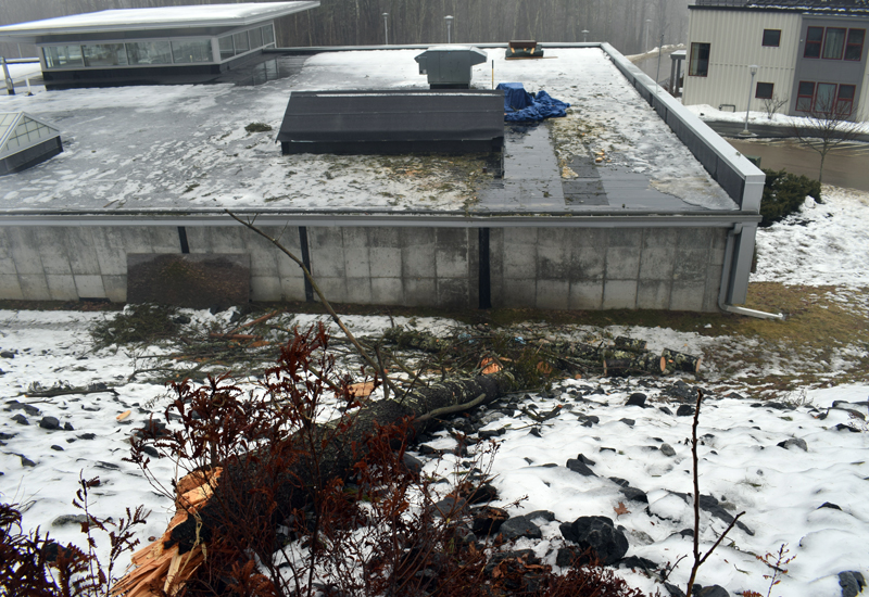 The classroom side of the Cable-Burns Applied Technology and Engineering Center at Lincoln Academy in Newcastle, where a tree shattered a skylight and sheared off two sprinkler heads, causing flooding and water damage. The tree fell during heavy wind and rain the evening of Friday, Feb. 7. (Evan Houk photo)