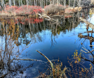 The trail at Crooked Farm Preserve offers beautiful views of the Pemaquid River. (Photo courtesy Walt Barrows)