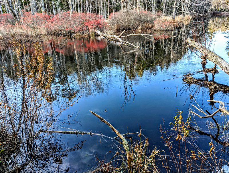 The trail at Crooked Farm Preserve offers beautiful views of the Pemaquid River. (Photo courtesy Walt Barrows)