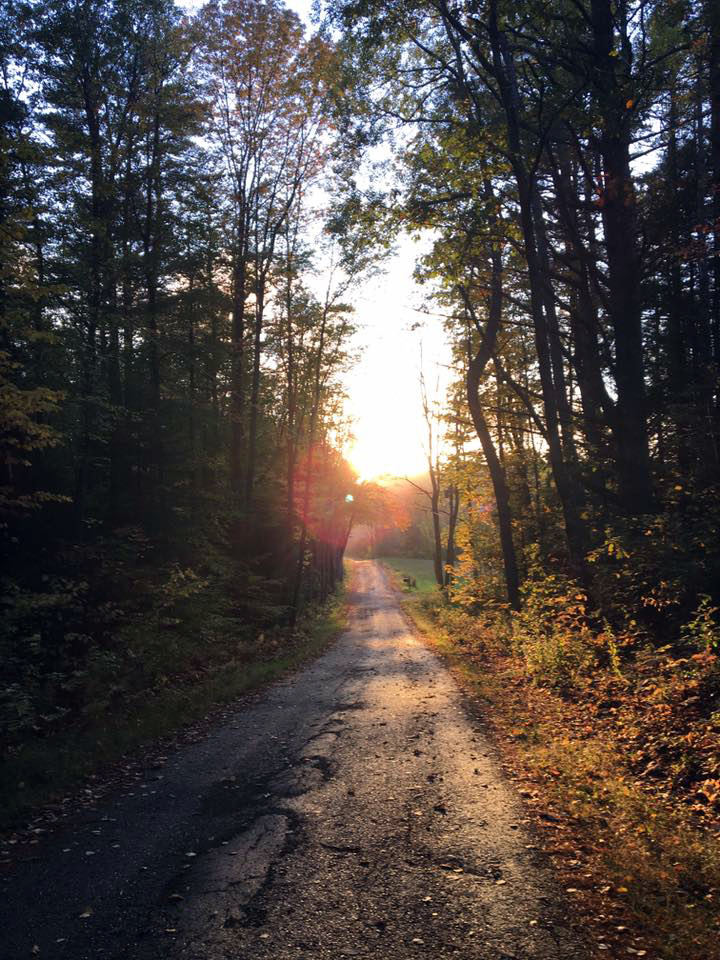 The autumnal sun sets over Kavanaugh Road, Newcastle. (Photo courtesy Lee Emmons)