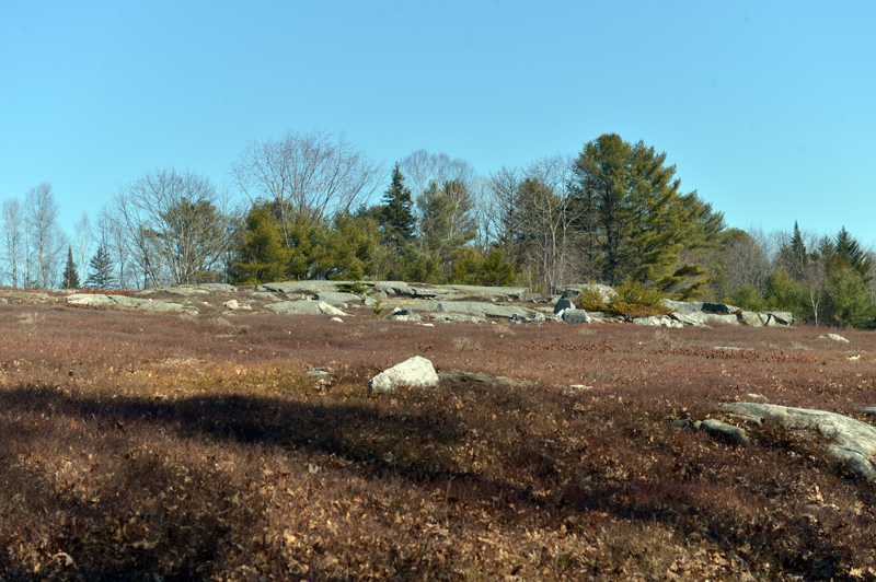 The MVLT Founders Preserve starts on the town of Waldoboro's Quarry Hill Preserve and follows the perimeter of a blueberry field from the kiosk. (Paula Roberts photo)