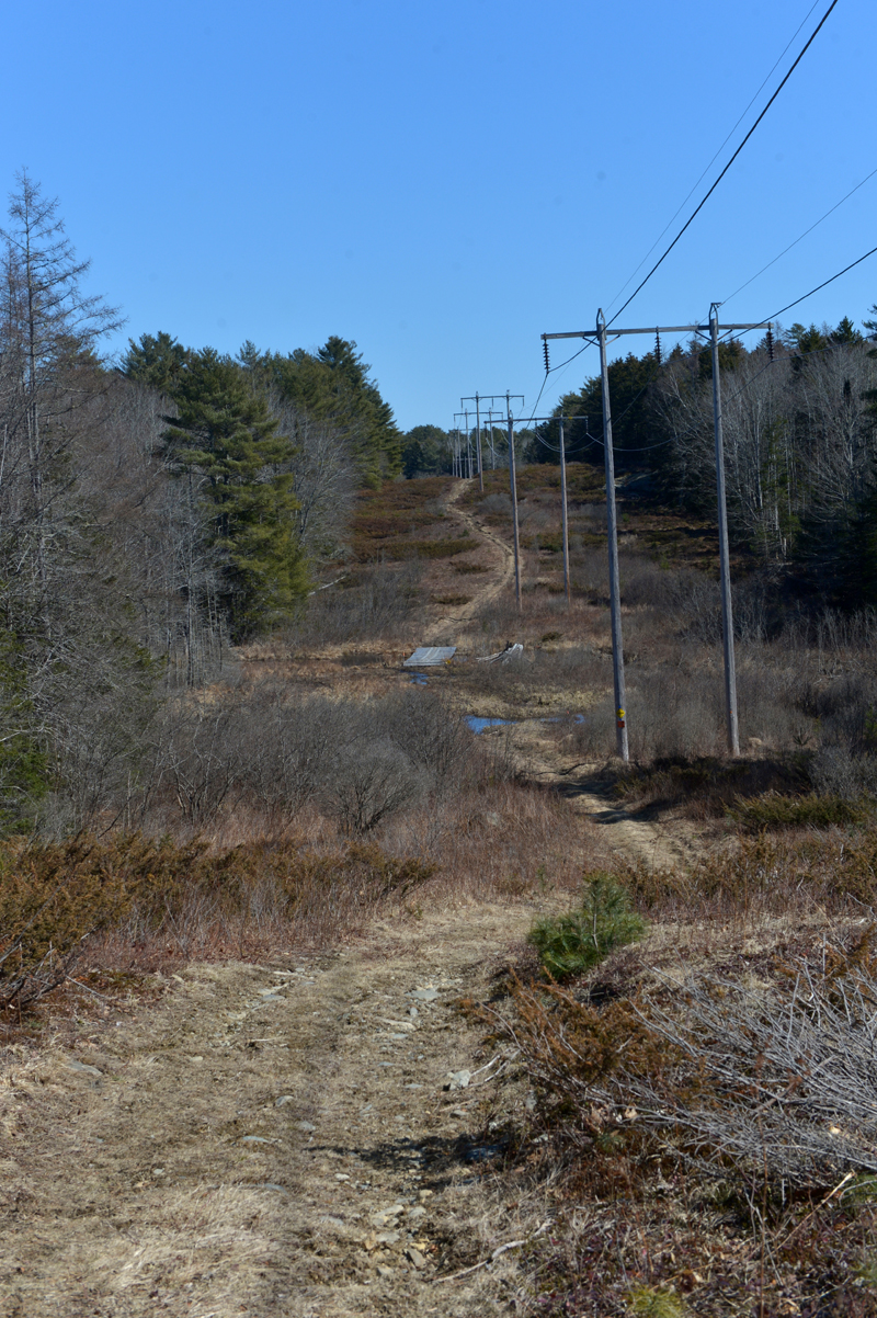 A snowmobile trail runs along a utility corridor through the MVLT Founders Preserve in Waldoboro. The boundary trail crosses the snowmobile bridge, takes an immediate left, and proceeds into the woods along a narrow footpath. This section of trail is wet, but was navigated easily on a recent hike. (Paula Roberts photo)