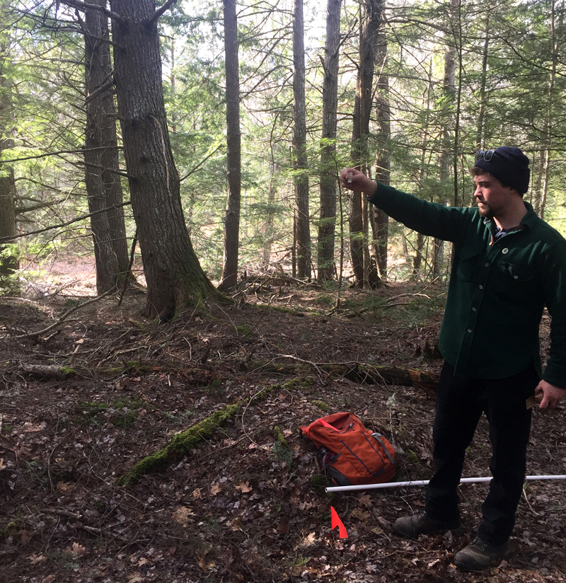 Noah Begin, of Damariscotta, uses a 10-BAF prism to determine which trees to measure over a plot center, indicated by an orange flag. Begin is pursuing a master's degree in forestry from the University of Maine. (Photo courtesy Jenny Begin)