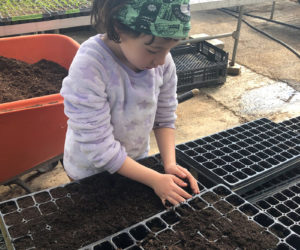 Farm directors Sara Cawthon and Megan Taft recruit their daughter Adley to help with planting seedlings.