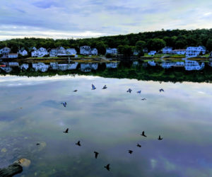 Dick Morrison's photo of birds flying over Boothbay Harbor received the most votes to win the April #LCNme365 photo contest. Morrison will receive a $50 gift certificate to Newcastle Chrysler Dodge Jeep Ram Viper, the sponsor of the April contest.